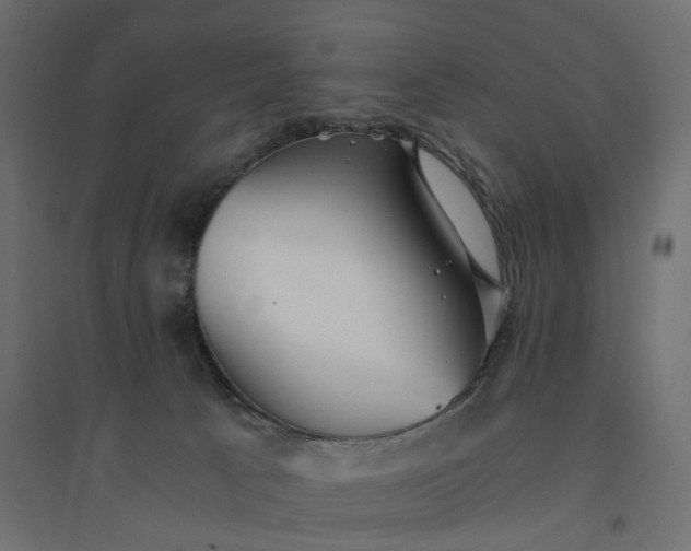 X0000094430033200711211444