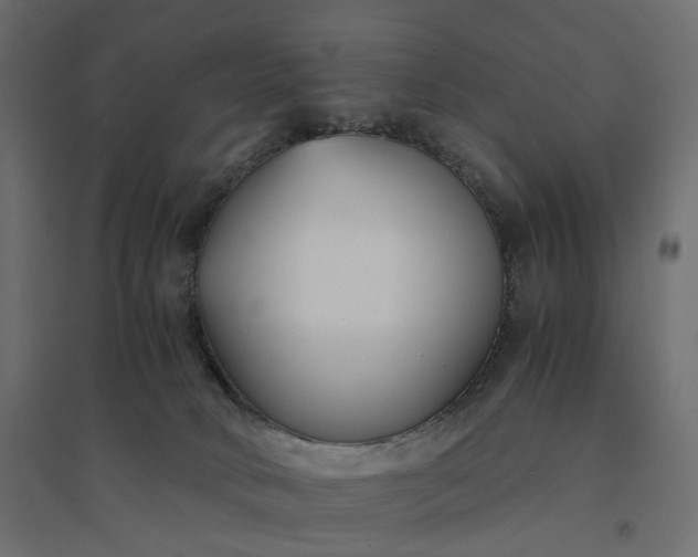 X0000094430034200711211444