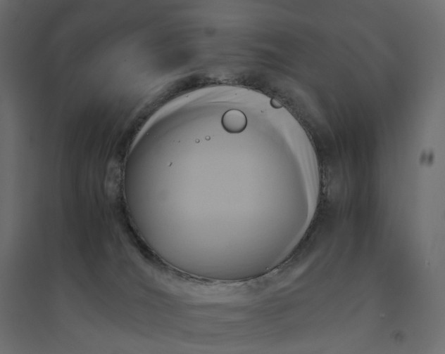 X0000094430036200711211444