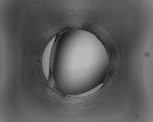 X0000094430037200711211444