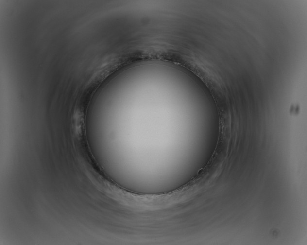 X0000094430038200711211444