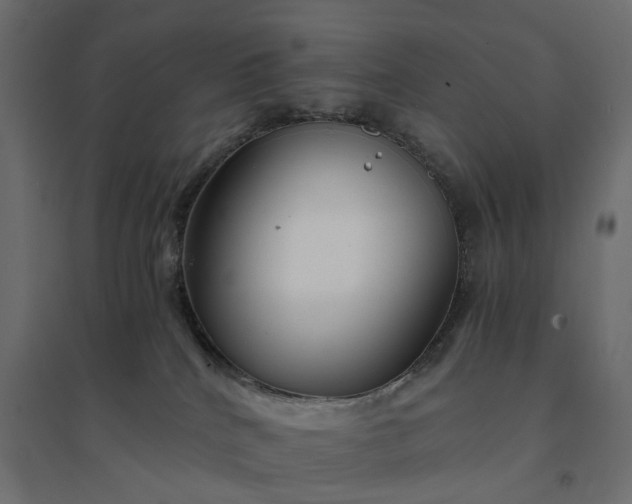 X0000094430040200711211444