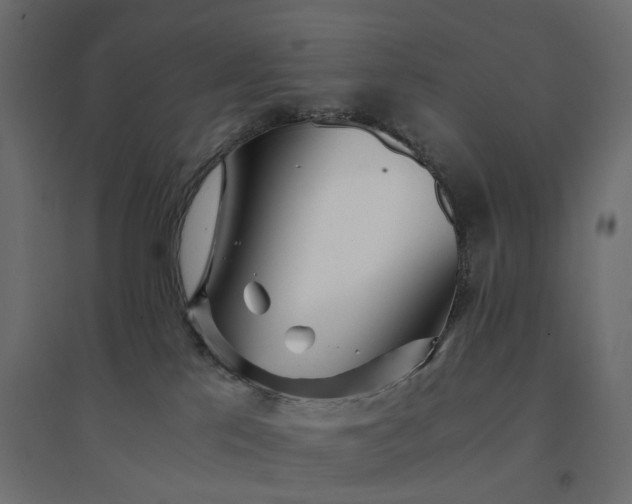 X0000094430041200711211444