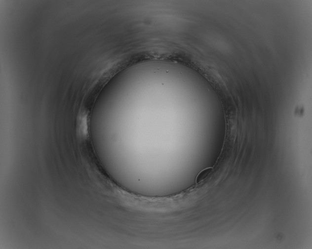 X0000094430042200711211444