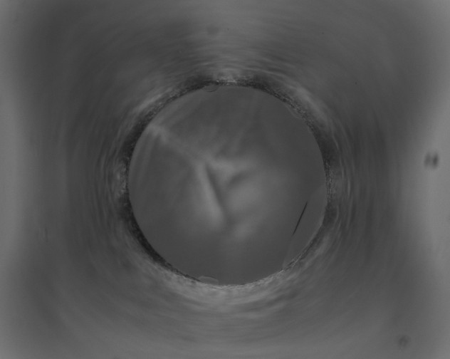 X0000094430043200711211443