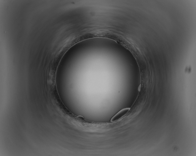 X0000094430044200711211443