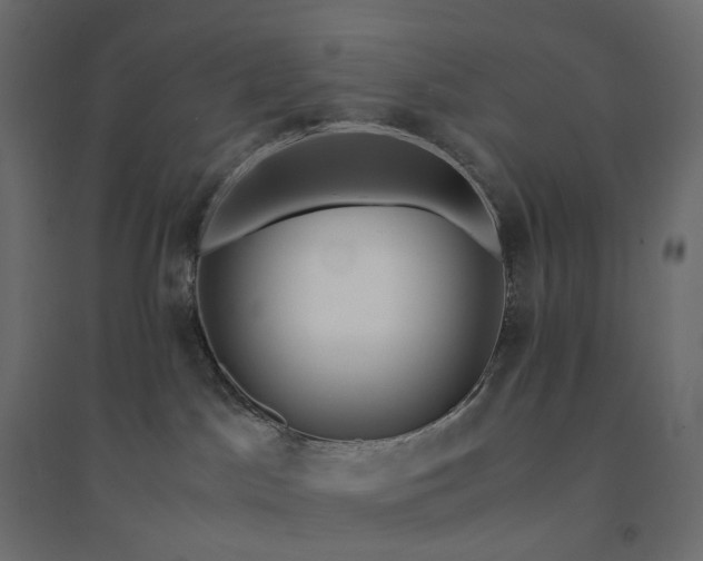 X0000094430045200711211443