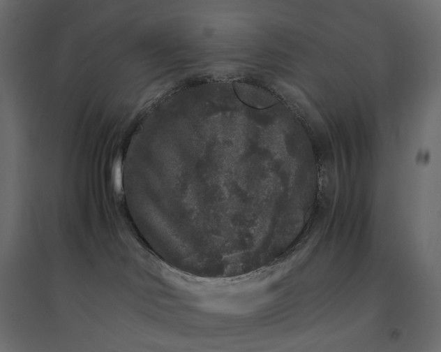 X0000094430046200711211443