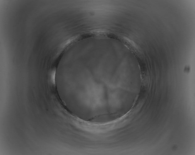 X0000094430047200711211443