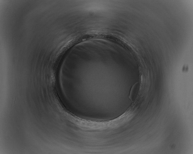 X0000094430048200711211443