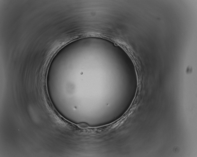 X0000094430049200711211443