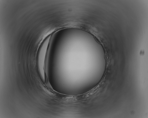 X0000094430050200711211443