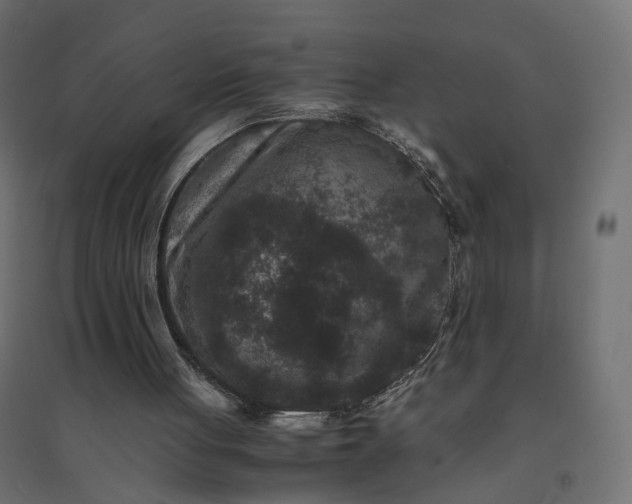 X0000094430051200711211443