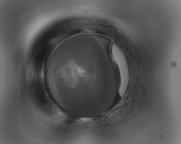 X0000094430052200711211443