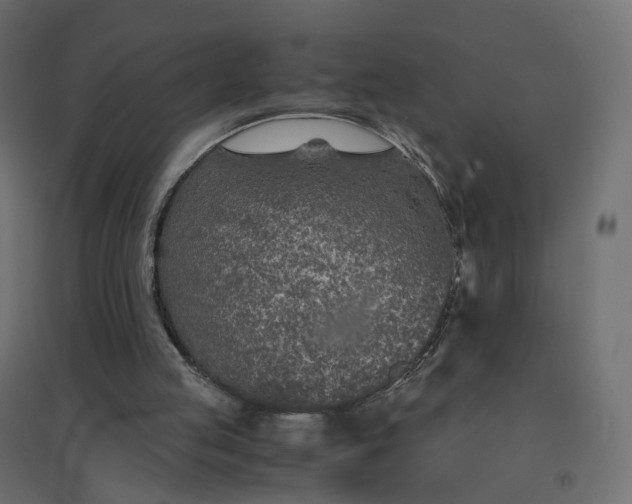 X0000094430053200711211443