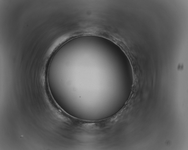 X0000094430054200711211443