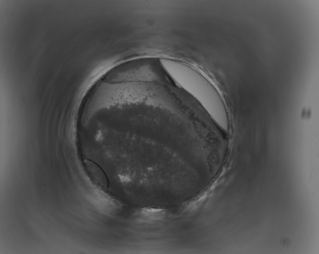 X0000094430055200711211443