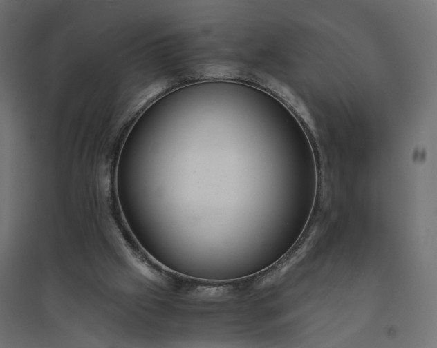 X0000094430057200711211443