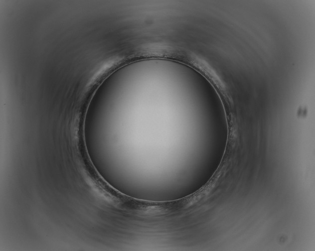 X0000094430058200711211443