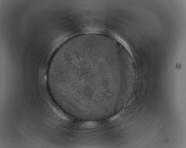 X0000094430059200711211443