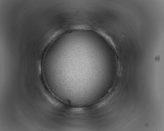 X0000094430061200711211443