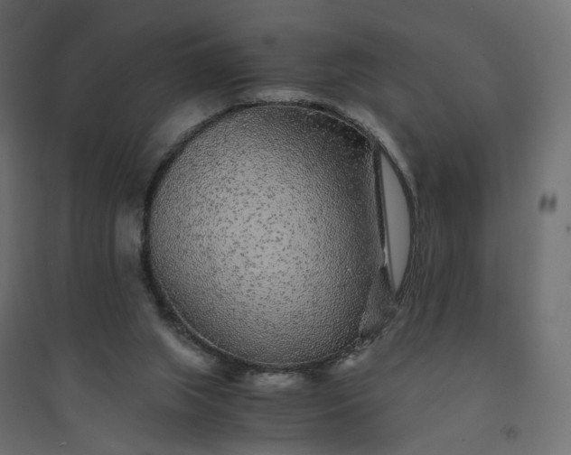 X0000094430063200711211443