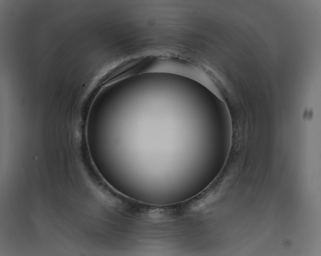 X0000094430064200711211443