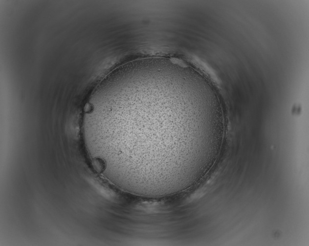 X0000094430065200711211443