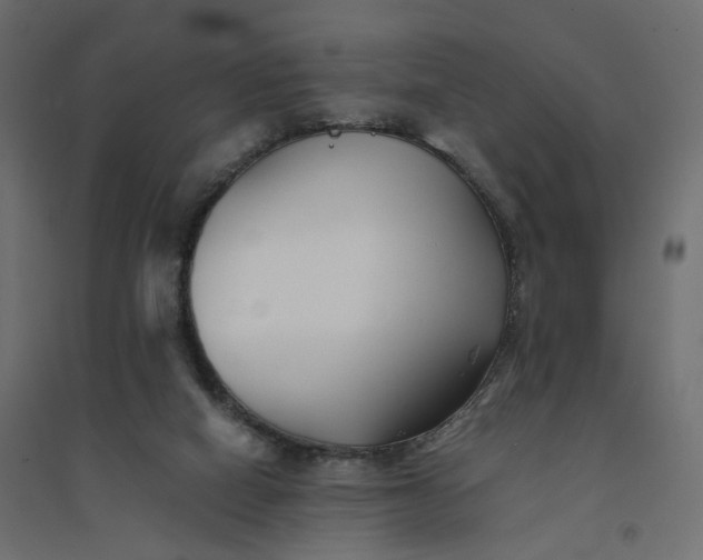 X0000094430066200711211443