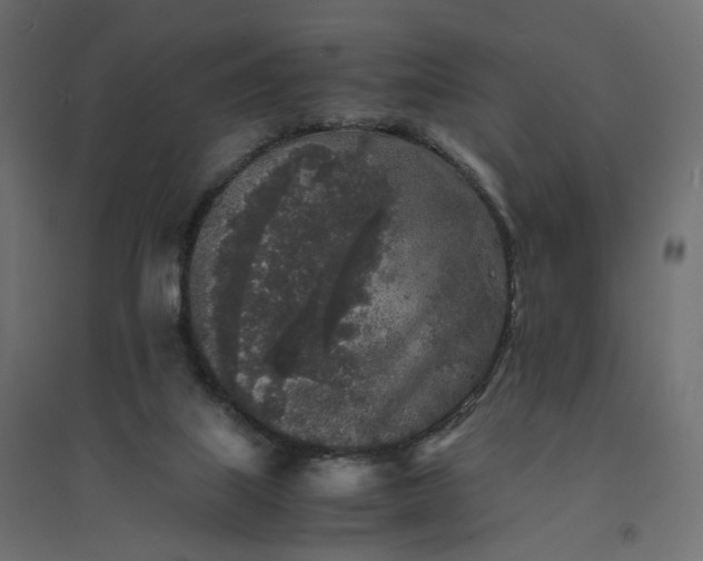 X0000094430067200711211443