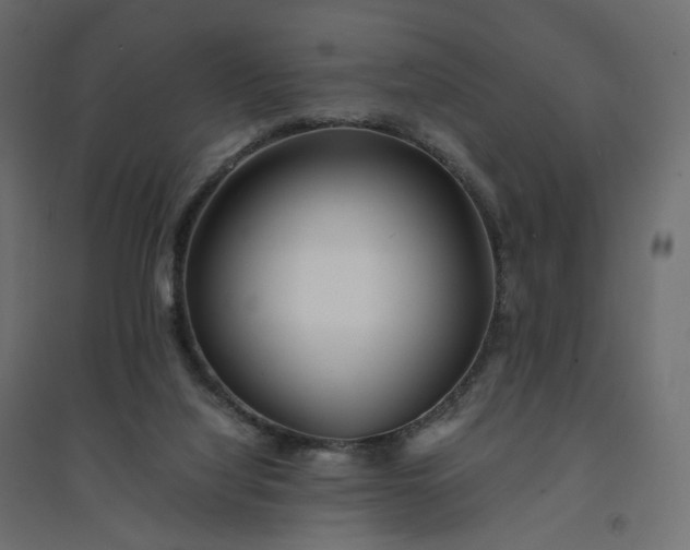 X0000094430068200711211443