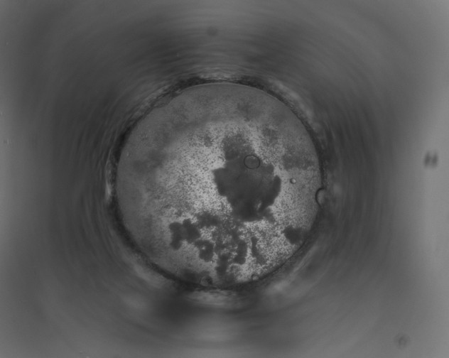 X0000094430069200711211443