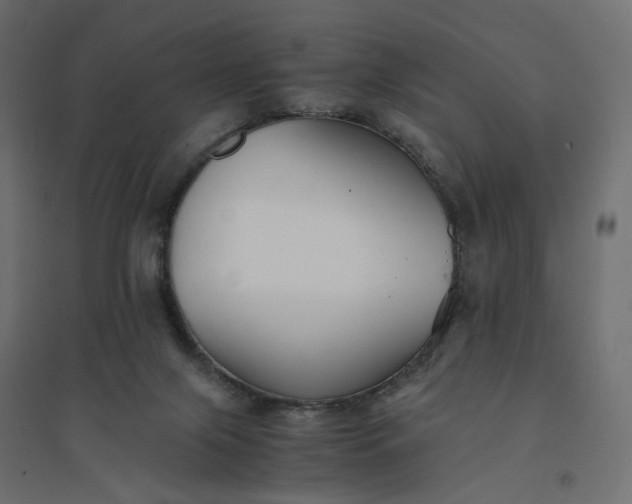 X0000094430071200711211443