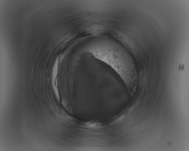 X0000094430073200711211443