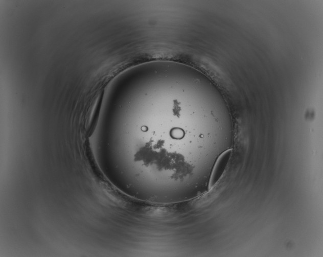 X0000094430074200711211443