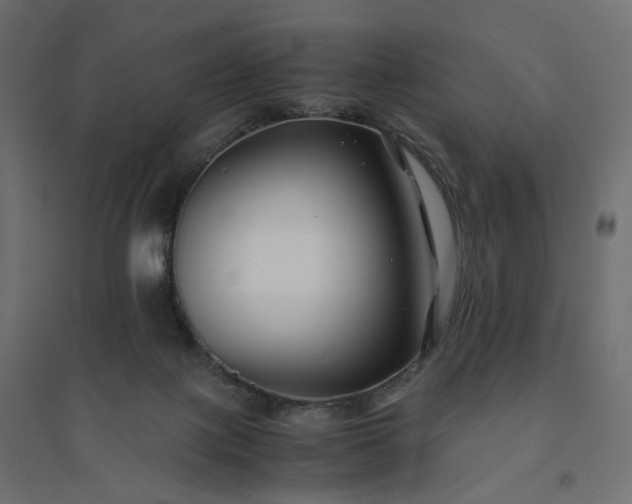 X0000094430075200711211443