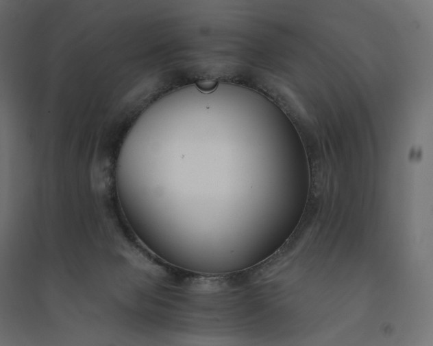 X0000094430077200711211443