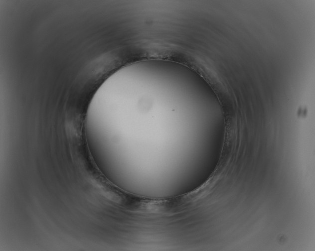 X0000094430078200711211443