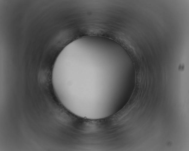 X0000094430079200711211443