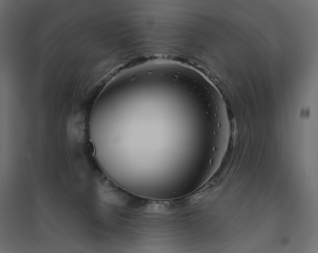 X0000094430080200711211443