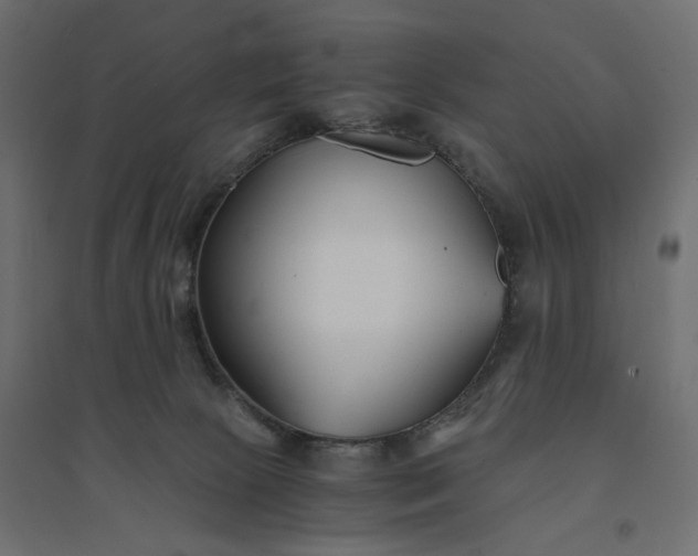 X0000094430081200711211443