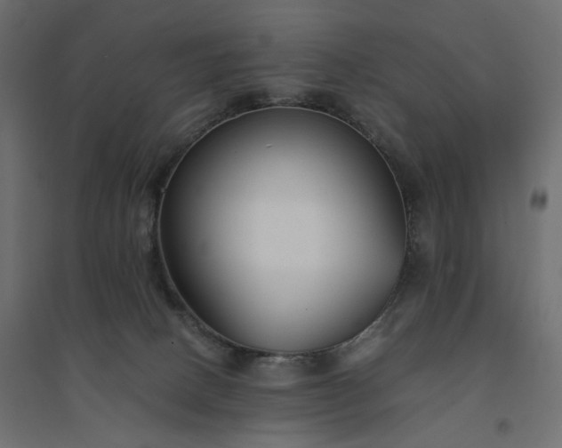 X0000094430082200711211443