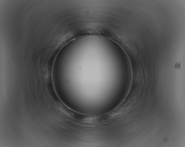 X0000094430084200711211443