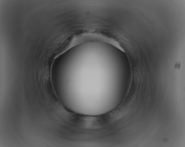 X0000094430085200711211443