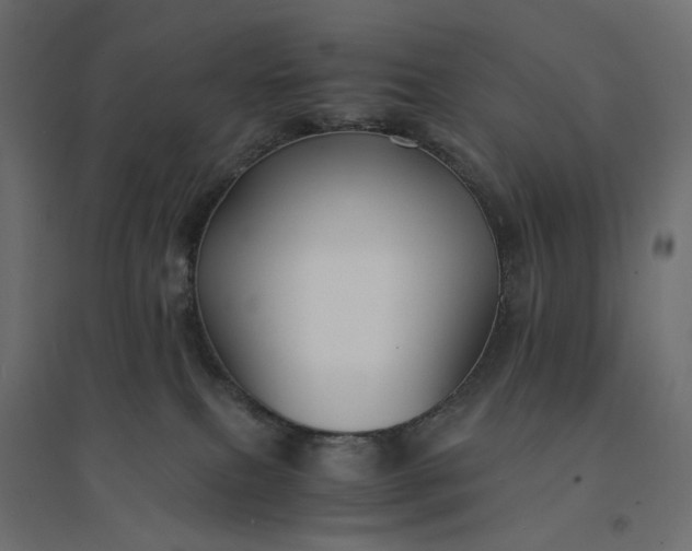 X0000094430087200711211443