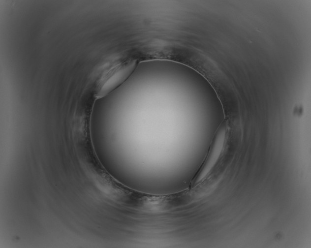 X0000094430088200711211443