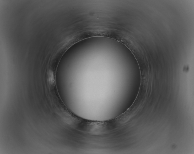 X0000094430089200711211443