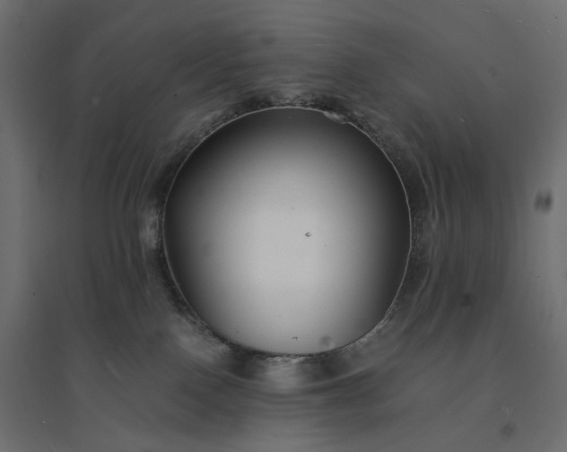 X0000094430090200711211443