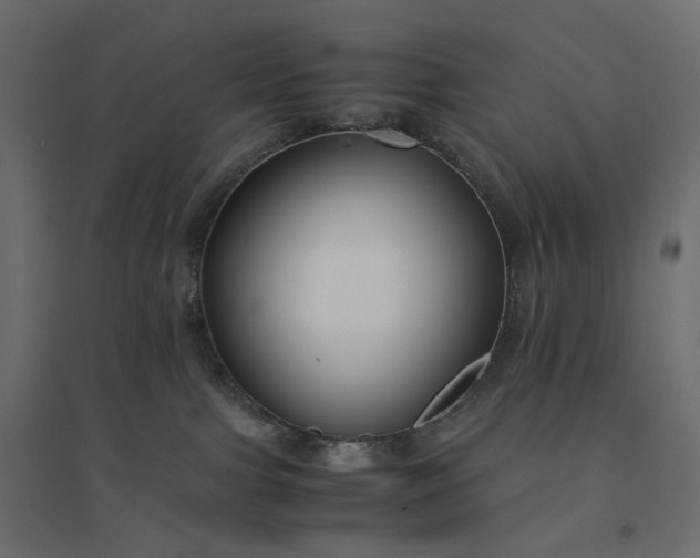 X0000094430091200711211443