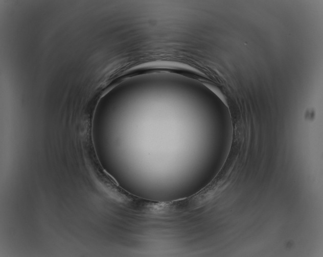 X0000094430092200711211443